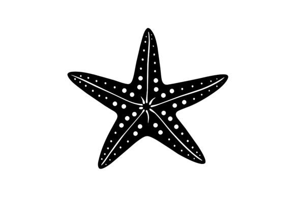 Download About Only One Star Fish - Fish Collection