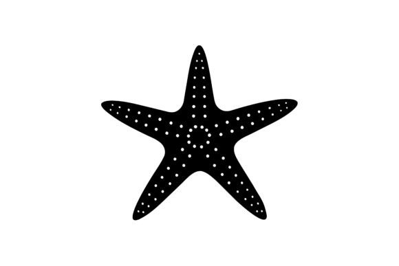 Download About Only One Star Fish - Fish Collection