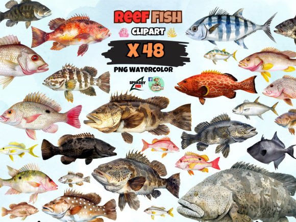 Download Watercolor Reef Fish Clipart - Fish Collection