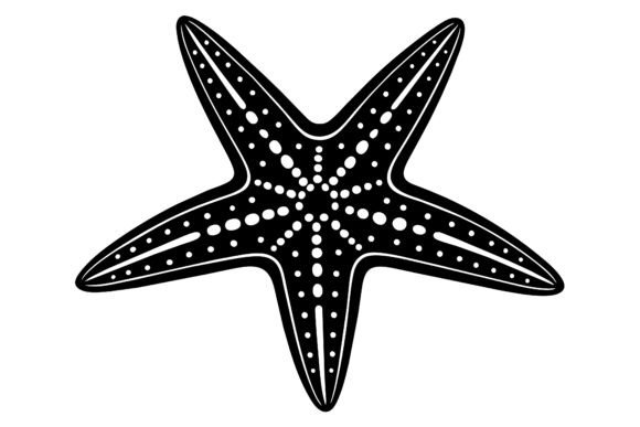 Download About Only One Star Fish - Fish Collection