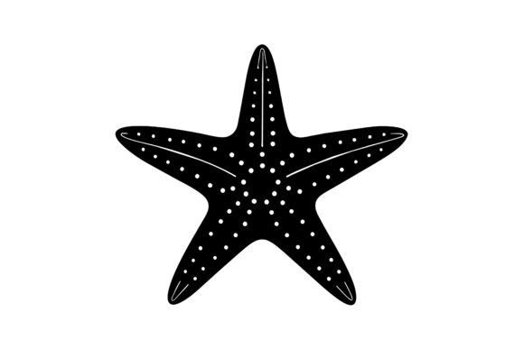 Download About Only One Star Fish - Fish Collection
