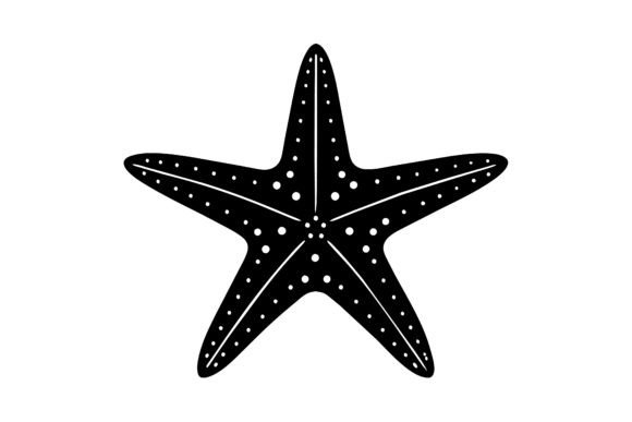 Download About Only One Star Fish - Fish Collection