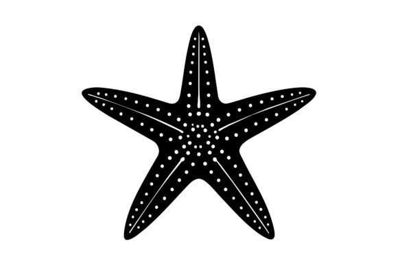 Download About Only One Star Fish - Fish Collection