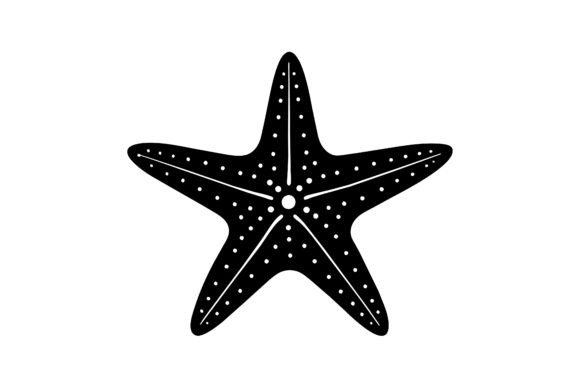 Download About Only One Star Fish - Fish Collection