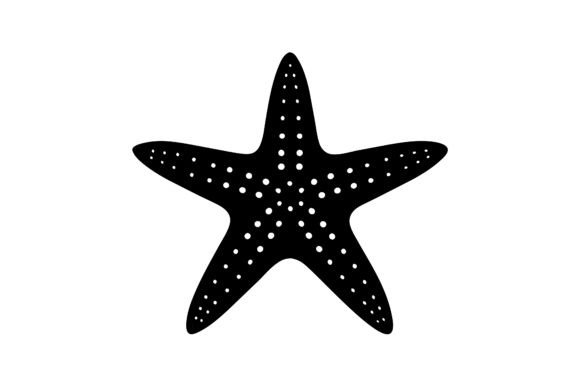 Download About Only One Star Fish - Fish Collection