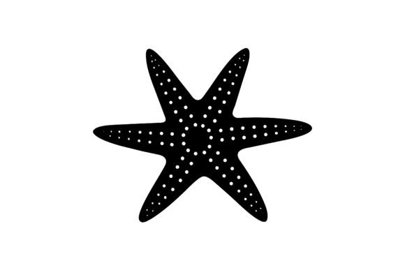 Download About Only One Star Fish - Fish Collection