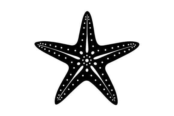 Download About Only One Star Fish - Fish Collection