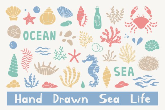 Download Hand Drawn Sea Life Summer PNG Clipart - Hand drawn Collection