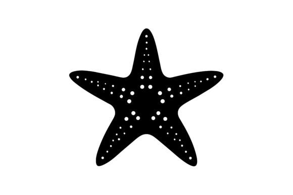 Download About Only One Star Fish - Fish Collection